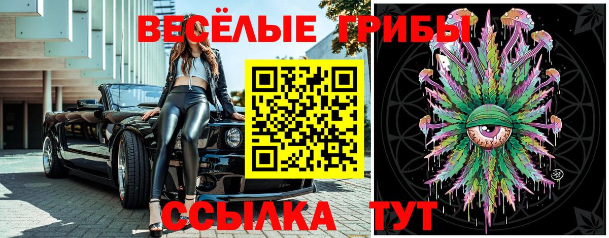 Псилоцибиновые грибы мухоморы Луга